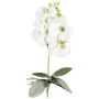 Kunst Phalaenopsis Orchidee DRINTOR, Steckstab, Wurzeln, weiß-grün, 40cm