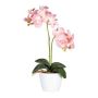 Kunst Phalaenopsis Orchidee FRUXO, Steckstab, Wurzeln, rosa, 50cm