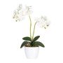 Kunst Phalaenopsis Orchidee FRUXO, Steckstab, Wurzeln, weiß, 50cm