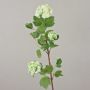 Unechter Schneeball DJAMILA, weiß-grün, 75cm, Ø4-8cm