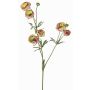 Samt Ranunkel YARIS, grün-pink, 65cm, Ø3-4,5cm
