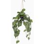 Dekopflanze Anthurium Blumenampel URCO, Dekotopf, grün, 80cm
