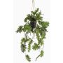 Dekopflanze Philodendron Selloum Blumenampel URCO, Dekotopf, 80cm