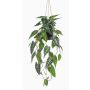 Dekopflanze Alocasia Sanderiana Blumenampel URCO, Dekotopf, grün-weiß, 80cm