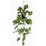 Dekopflanze Philodendron Monstera adansonii Blumenampel URCO, Dekotopf, 80cm