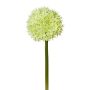 Künstliche Blume Allium WANDENY, creme-grün, 65cm