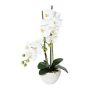 Kunst Phalaenopsis Orchidee DINKA in Keramikschale, Wurzeln, weiß, 50cm