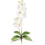 Kunst Phalaenopsis Orchidee MORLEK, Steckstab, Wurzeln, creme, 60cm
