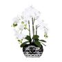 Künstliche Phalaenopsis Orchidee SINKA im Dekotopf silber, weiß, 55cm