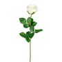 Künstliche Blume Rose NORLAN, creme, 70cm, Ø8cm