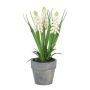 Deko Blume Traubenhyazinthe ZORKLEM im Dekotopf, weiß, 18cm
