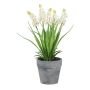 Deko Blume Traubenhyazinthe ZORKLEM im Dekotopf, weiß, 22cm