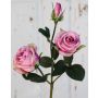 Samt Rose DELILAH, rosa, 55cm, Ø6cm