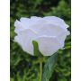 Rose künstlich MARNUK, creme-weiß, 60cm, Ø9cm