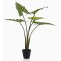 Künstliche Pflanze Alocasia Sanderiana MUNAY im Dekotopf, grün, 80cm