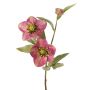 Deko Zweig Christrose SUNMYN, mauve, 55cm, Ø8-10cm