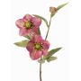 Deko Zweig Christrose SUNMYN, mauve, 55cm, Ø8-10cm