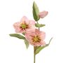 Deko Zweig Christrose SUNMYN, rosa, 55cm, Ø8-10cm