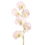 Kunstblume Lathyrus WAHNY, weiß-grün, 45cm, Ø5,5cm
