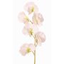 Kunstblume Lathyrus WAHNY, weiß-grün, 45cm, Ø5,5cm