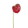 Kunst Anthurium SAMBANA, rot-grün, 65cm