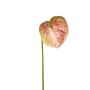Kunst Anthurium SAMBANA, rosa-grün, 65cm