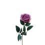 Samt Rose SEENSA, lila, 60cm, Ø7cm