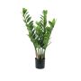 Kunst Zamioculcas Zamiifolia AKELA, 70cm
