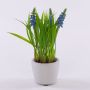 Kunstblume Traubenhyazinthe NARMADA im Zementtopf, blau, 20cm