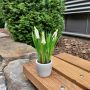 Kunstblume Traubenhyazinthe NARMADA im Zementtopf, weiß, 20cm
