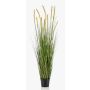 Gras Kunstpflanze Fuchsschwanzgras ANAELLA mit Rispen, grün, 150cm