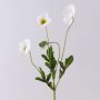Künstlicher Blumenzweig Mohn OXANDRINE, creme-weiß, 60cm, Ø6cm
