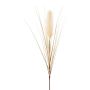 Kunst Pampasgras Rispe WALNIN, beige, 100cm