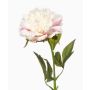 Kunstblume Pfingstrose GAVRON, weiß-rosa, 55cm