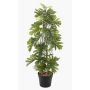 Fake Pflanze Philodendron selloum BRINOL, Dekotopf, Luftwurzeln, 80cm