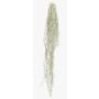 Kunst Sukkulente Tillandsia usneoides BRAVIK, Steckstab, schwer brennbar, grau, 150cm