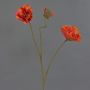 Dekozweig Mohnblume PEJA, orange-rot, 90cm, Ø11-13cm