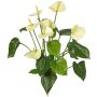 Kunst Anthurium NAKITA auf Steckstab, creme, 50cm