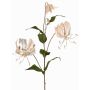 Samtiger Gloriosa Zweig DINFAS, zartrosa-gold, 80cm