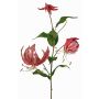 Samtiger Gloriosa Zweig DINFAS, mauve-gold, 80cm