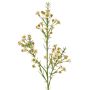 Kunstzweig Wachsblume FRINDALS, creme, 65cm, Ø1,5-2cm