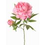 Kunstblume Pfingstrose WARDUAN, Eco Collection, rosa, 65cm, Ø15cm