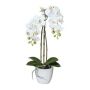 Künstliche Phalaenopsis Orchidee LARKEN im Keramiktopf, Wurzeln, weiß, 45cm