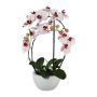 Kunst Phalaenopsis Orchidee INAKES, Keramiktopf, Wurzeln, rosa-weiß, 50cm