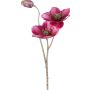 Kunstblumen Zweig Christrose GRIMFAL, magenta, 55cm