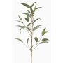 Deko Zweig Eukalyptus JURKA mit Früchten, grün-grau, 90cm