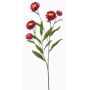 Kunstzweig Strohblume SNAVIK, pink, 70cm