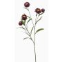 Kunstzweig Strohblume SNAVIK, lila, 70cm