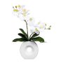 Deko Phalaenopsis Orchidee DRELMOR, Keramikvase, Wurzeln, weiß, 35cm