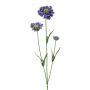 Kunstzweig Scabiosa ATLENTO, lila, 65cm
